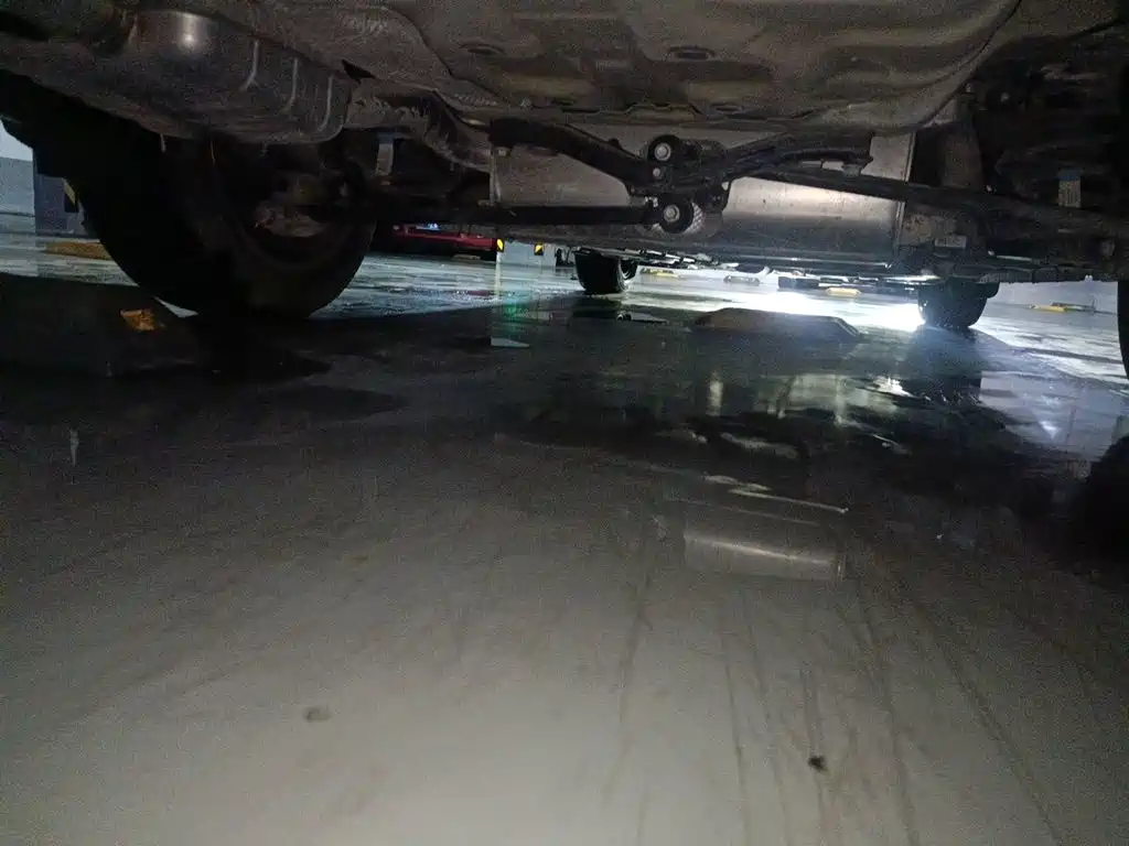 Weilang 2023 Pro Edition купить на сайте DeffCars