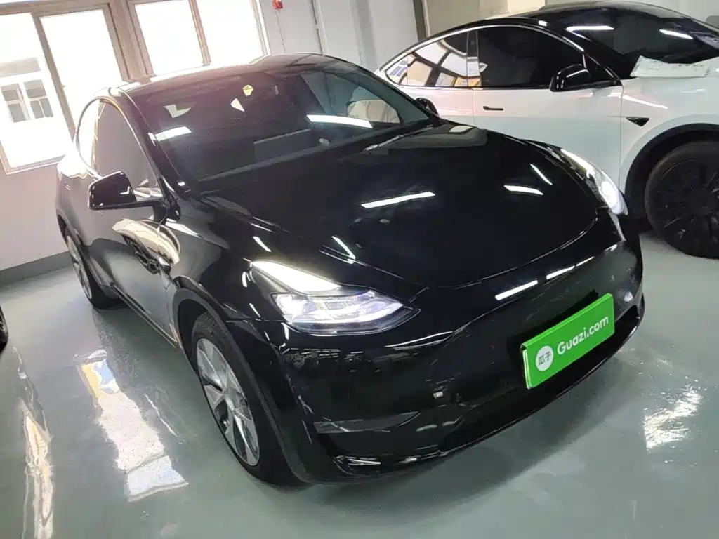 Model Y 2021 standard range rear-wheel drive version купить на сайте DeffCars