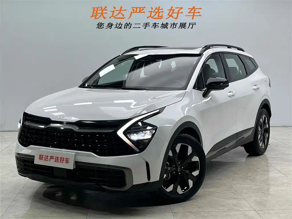 Lion Platinum expands the world 2023 2.0T two-wheel drive flagship version купить на сайте DeffCars