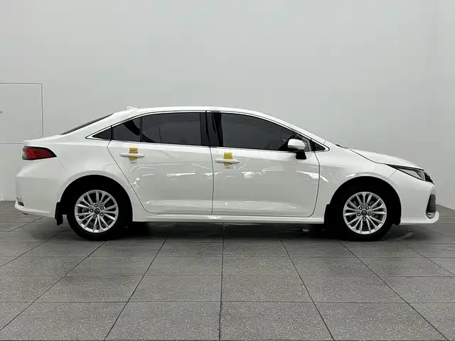 Asia Lion 2021 2.0L Advanced Edition купить на сайте DeffCars
