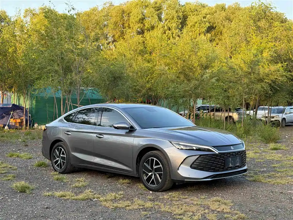 Qin L 2024 DM-i 80KM leading model купить на сайте DeffCars