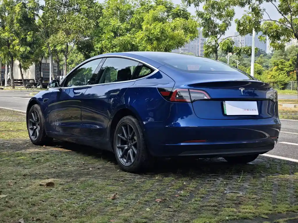 Model 3 imported 2019 standard range rear drive upgraded version купить на сайте DeffCars