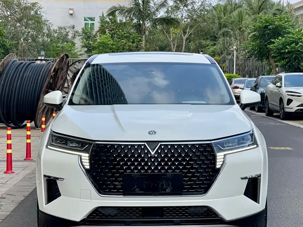 Venucia 2021 260T Automatic Xingshang Edition купить на сайте DeffCars