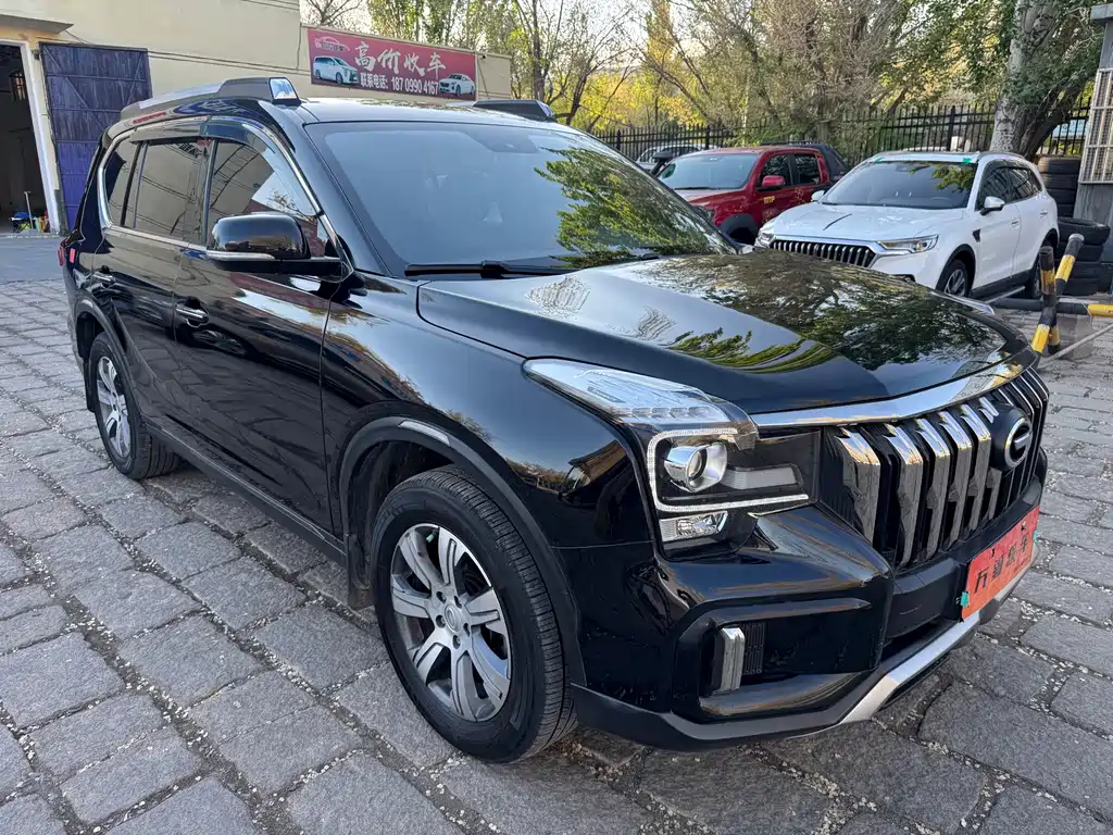 Trumpchi GS8 2020 390T two-wheel drive luxury version (five seats) купить на сайте DeffCars
