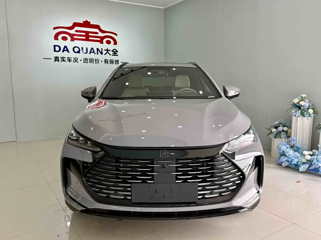 Tangxin Energy 2025 DM-i 115KM flagship model купить на сайте DeffCars