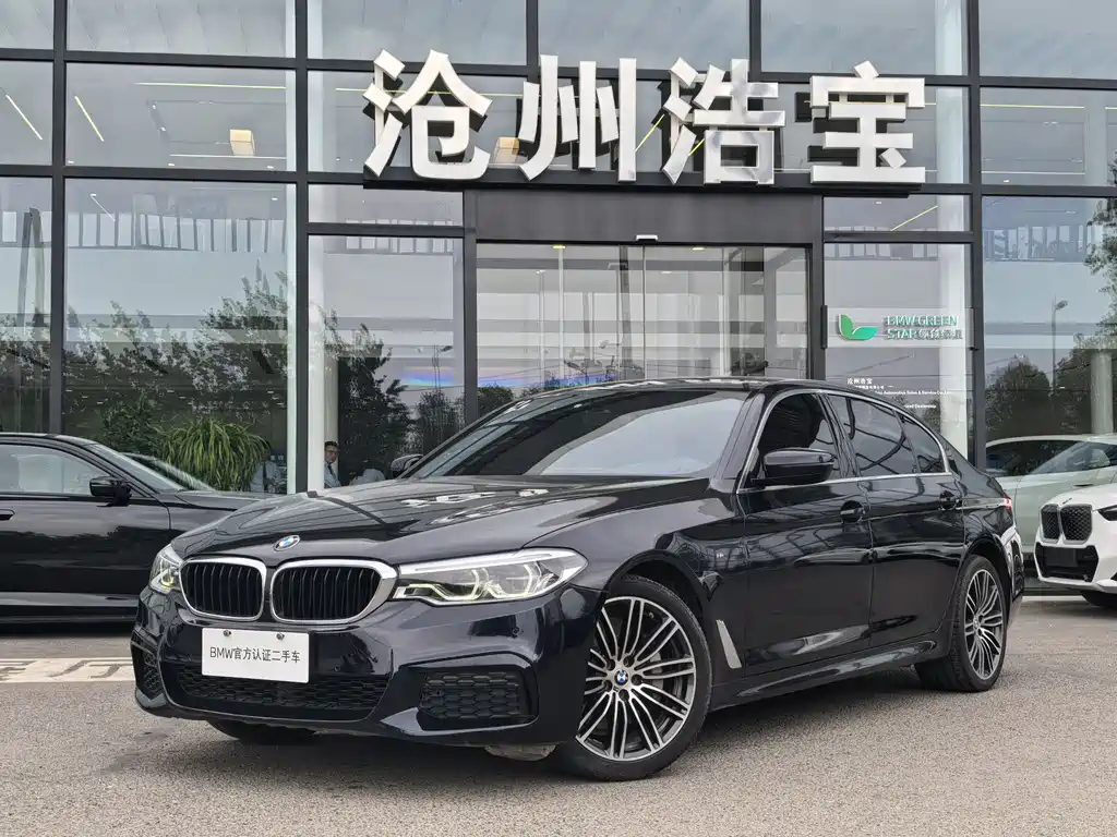 BMW 5 Series 2020 530Li Leading M Sports Package купить на сайте DeffCars