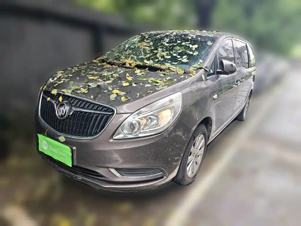 Buick GL8 2017 25S luxury model National V купить на сайте DeffCars