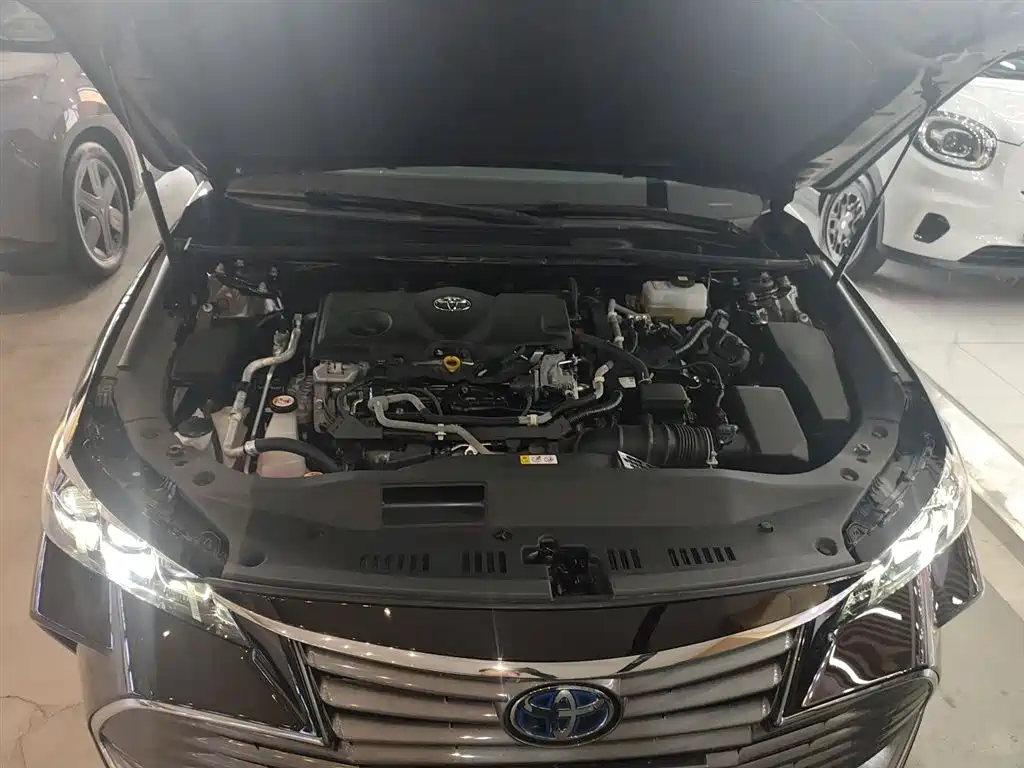 Asia Dragon 2019 Shuangqing 2.5L Deluxe Edition National VI купить на сайте DeffCars