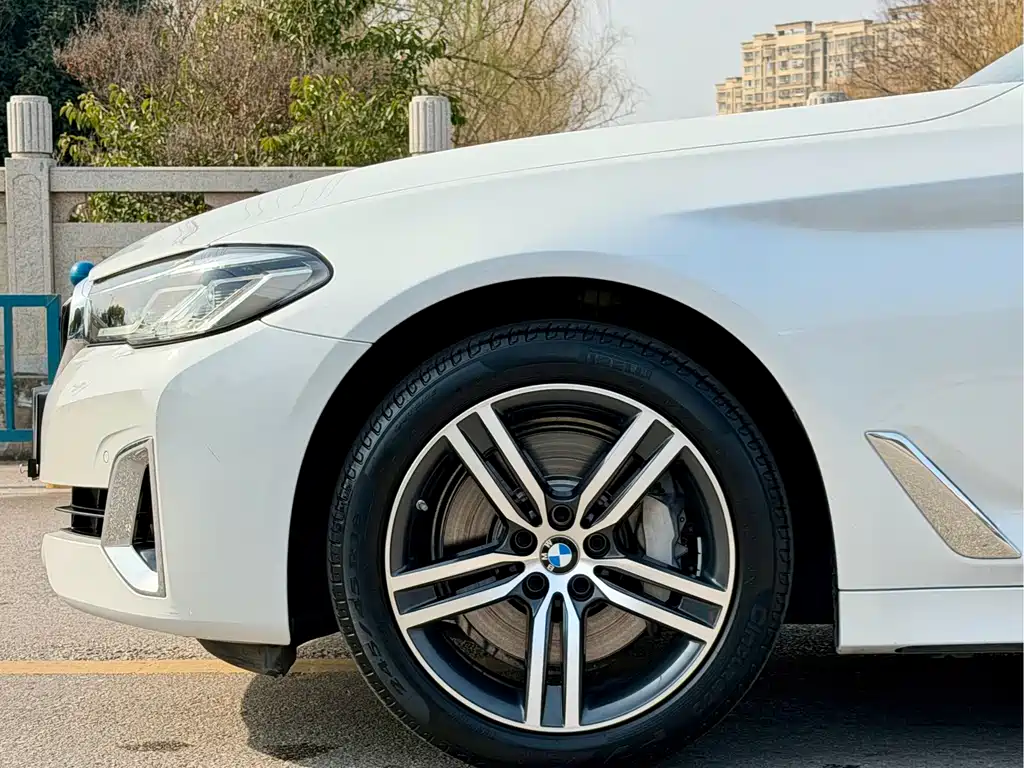 BMW 5 Series 2021 530Li Leading Luxury Package купить на сайте DeffCars