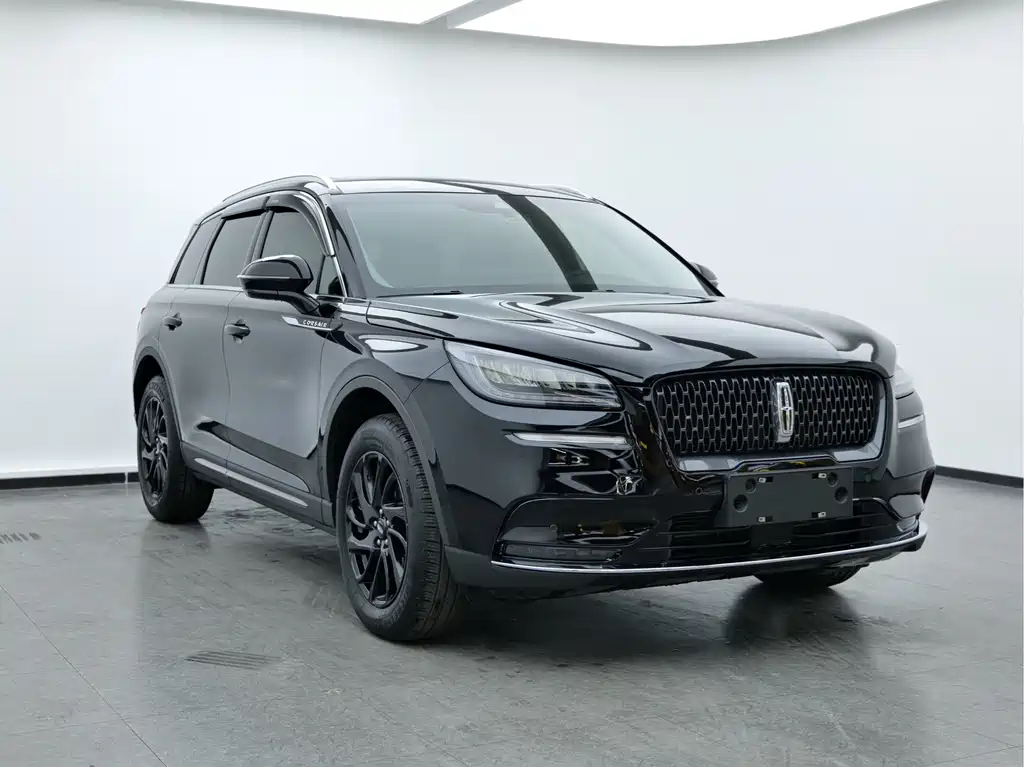 Adventurer 2020 2.0T Two-wheel drive Premium Edition купить на сайте DeffCars