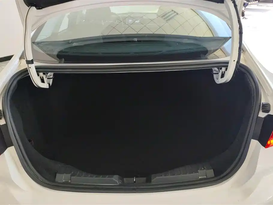 Forex 2021 1.5L automatic gold version купить на сайте DeffCars