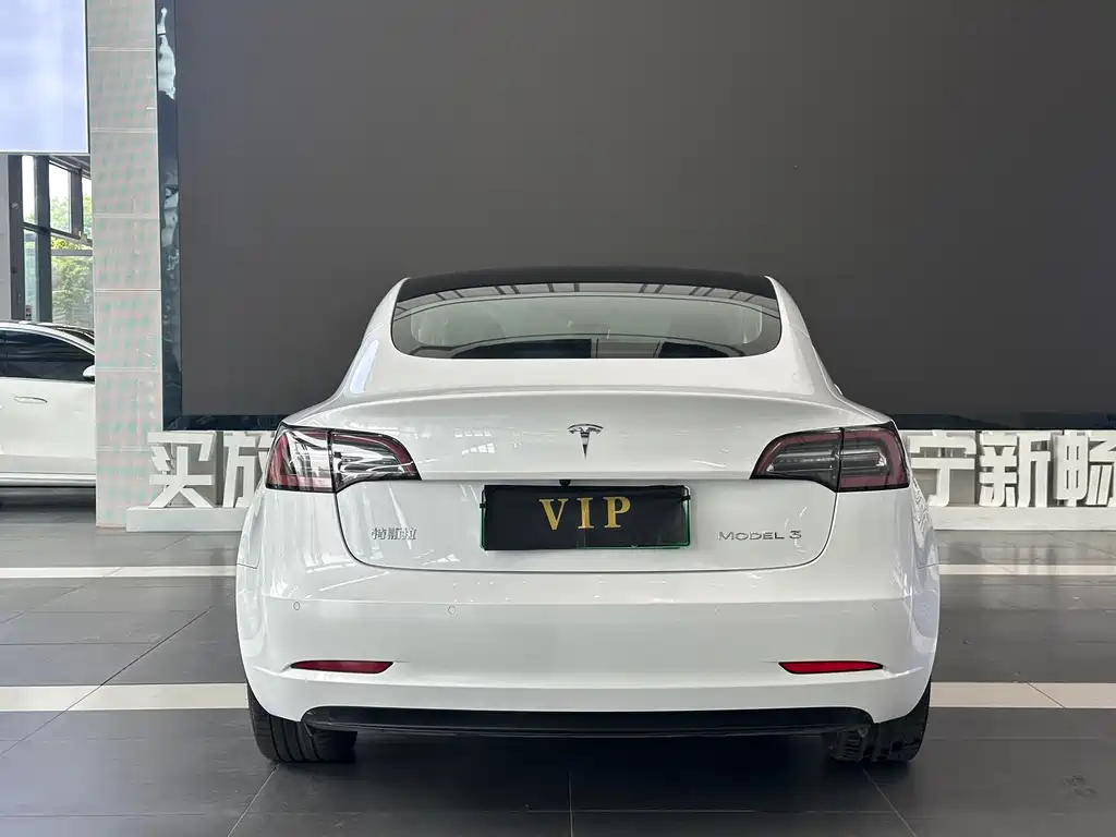 Model 3 2020 Standard Range Rear Drive Upgraded Version купить на сайте DeffCars