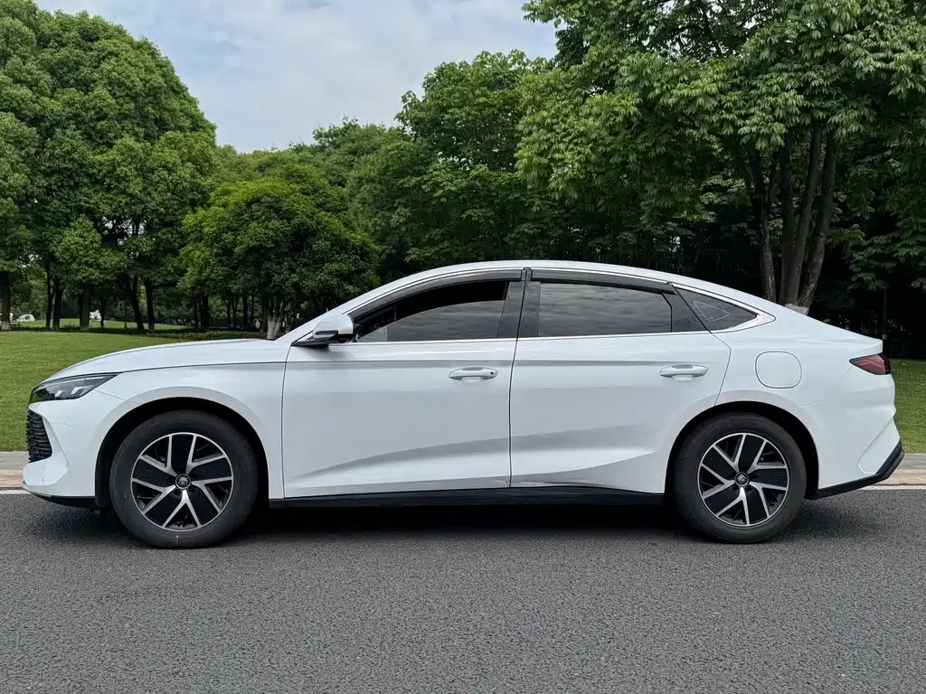 Qin L 2024 DM-i 120KM leading model купить на сайте DeffCars