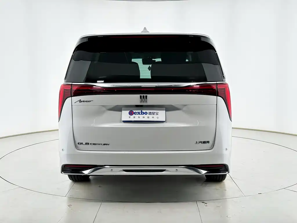 Century 2023 2.0T Six-seater Yuanshi Edition купить на сайте DeffCars