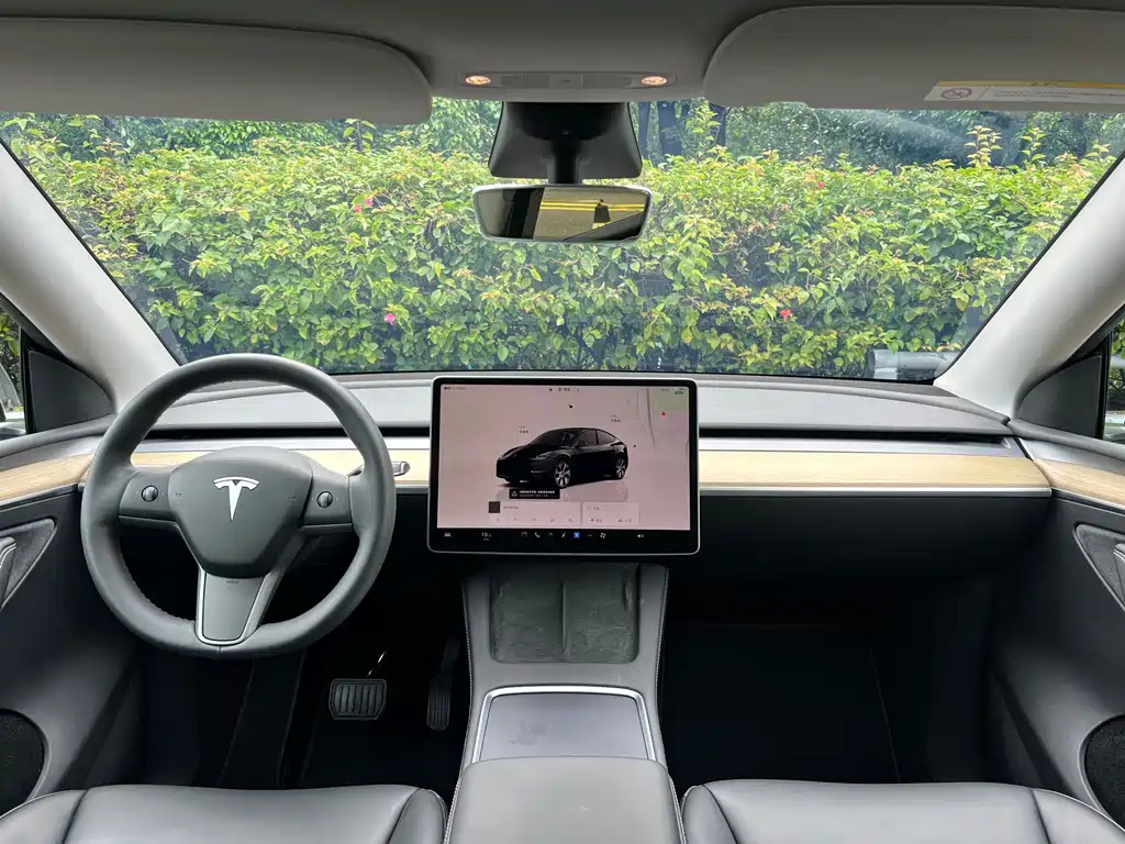 Model Y 2022 modified rear-wheel drive version купить на сайте DeffCars