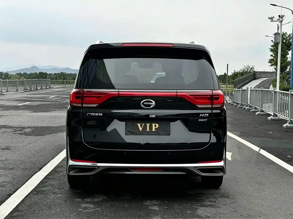 Trumpchi M8 2021 Lead Show Series 390T Exclusive Edition купить на сайте DeffCars
