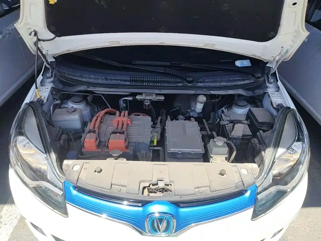 Benben EV 2019 EV360 Standard Model купить на сайте DeffCars