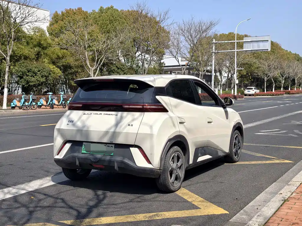 Seagull 2024 Honor Edition 305km Free Edition купить на сайте DeffCars