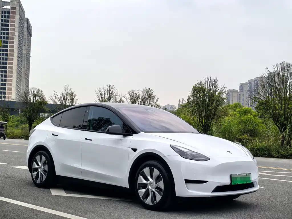 Model Y 2022 rear-wheel drive version купить на сайте DeffCars