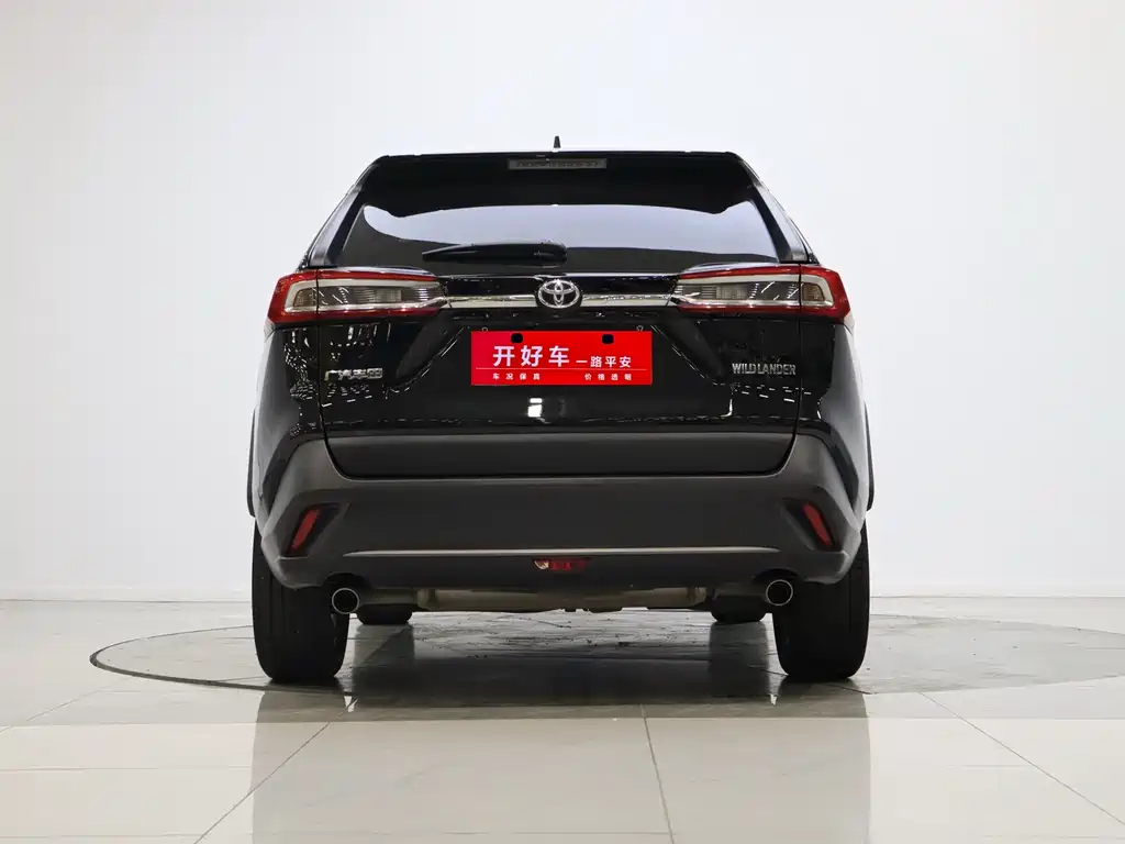 Wilanda 2022 2.0L CVT two-wheel drive leading version купить на сайте DeffCars