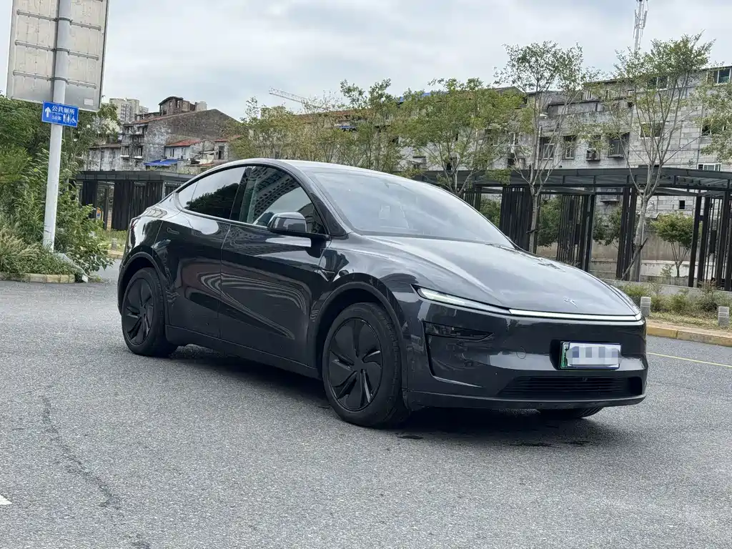 Model Y 2025 rear-wheel drive version купить на сайте DeffCars