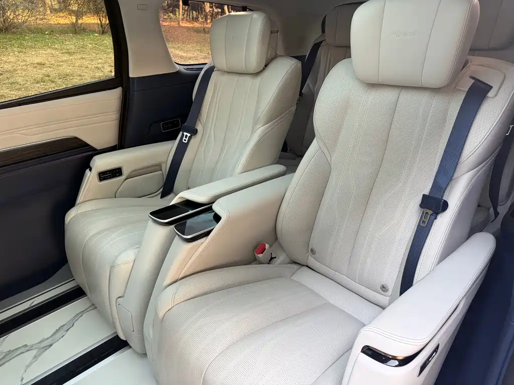 Century 2023 2.0T Six-seater Yuanshi Edition купить на сайте DeffCars