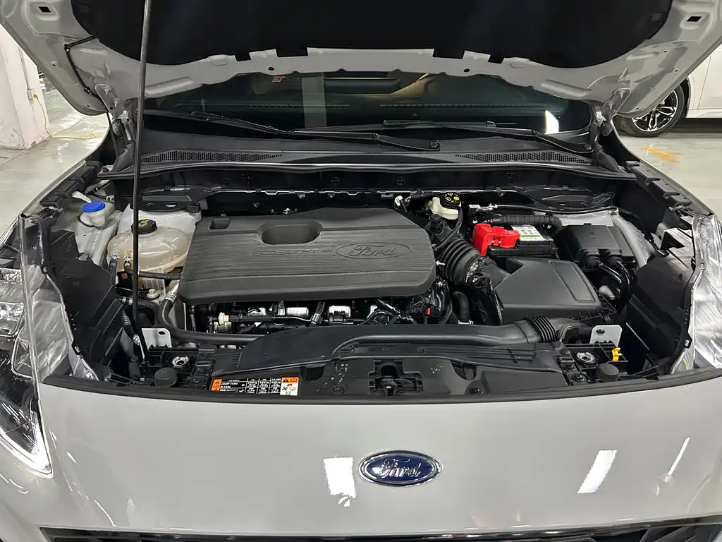Ruiji 2024 EcoBoost 245 four-wheel drive ST-Line Pro купить на сайте DeffCars