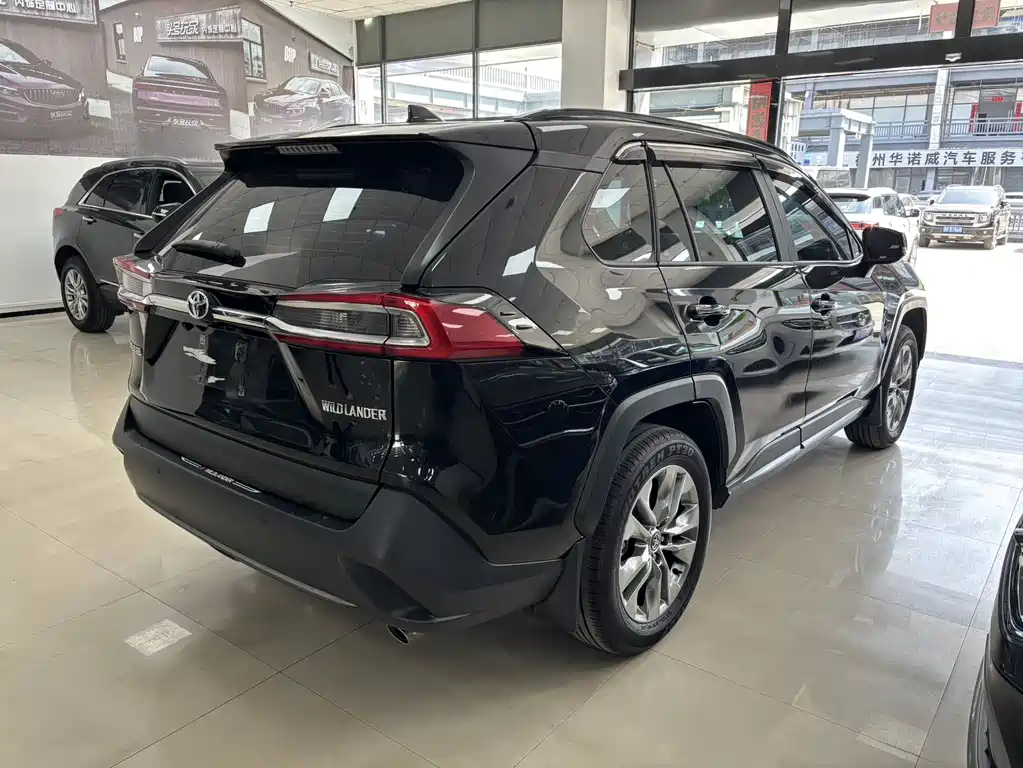 Wilanda 2024 2.0L CVT two-wheel drive leading version купить на сайте DeffCars