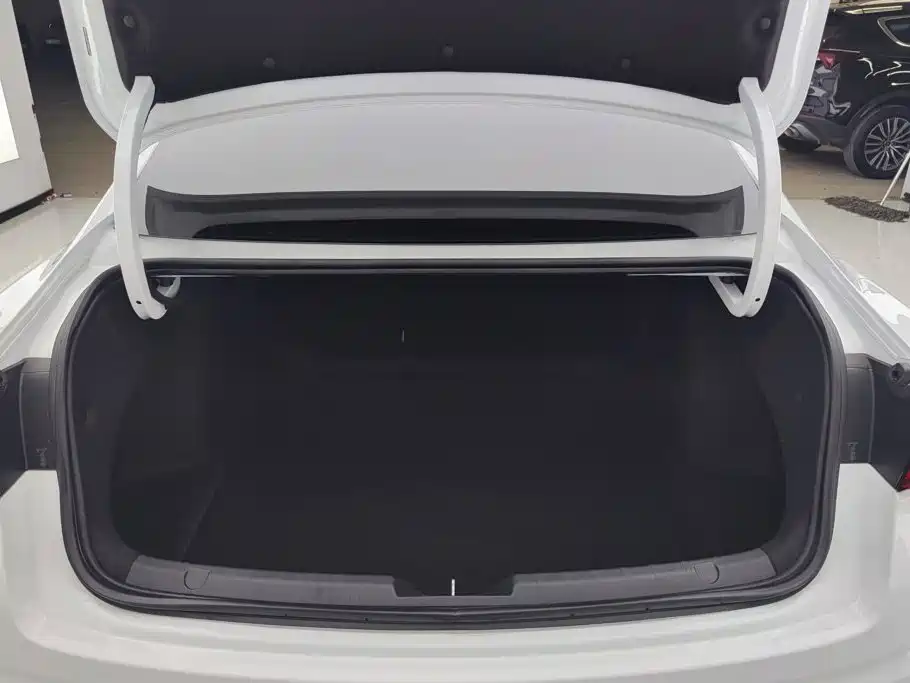 Xingrui 2023 2.0TD Premium Model купить на сайте DeffCars