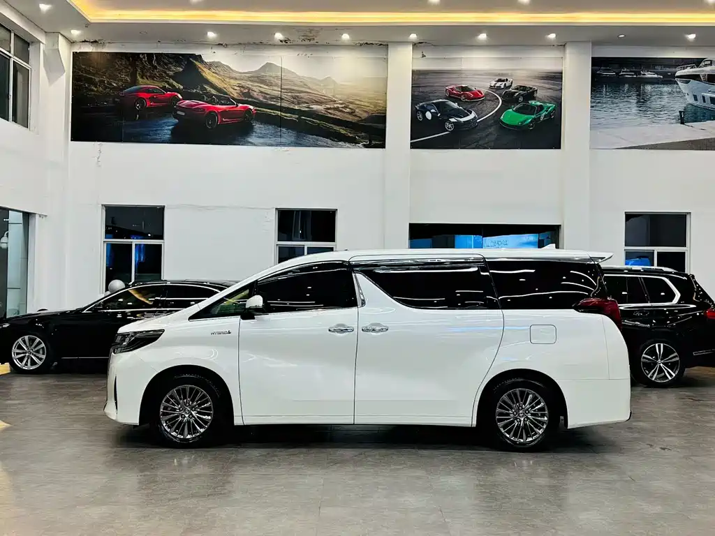 Alfa 2021 Shuangqing 2.5L Premium Edition купить на сайте DeffCars