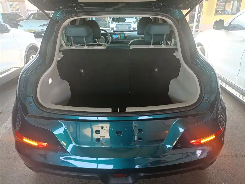 Euler Good Cat 2023 model 401km standard battery life luxury model lithium iron phosphate купить на сайте DeffCars
