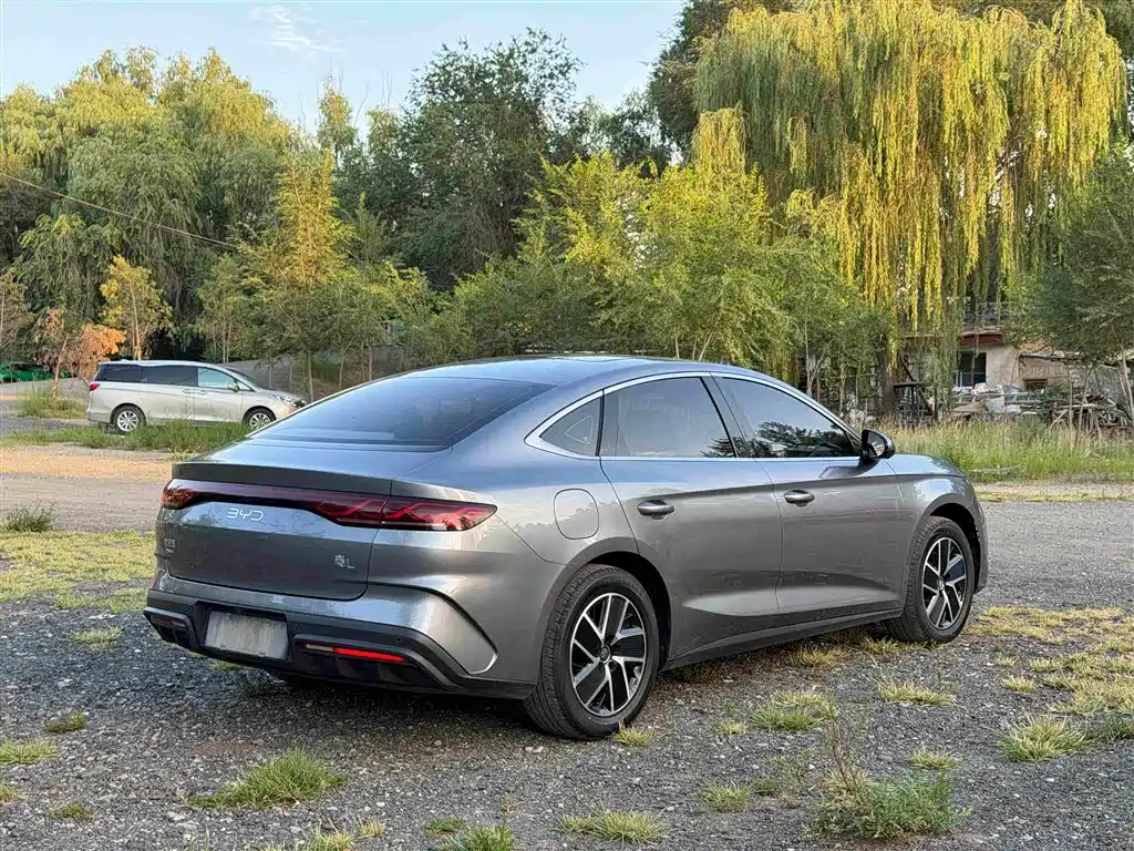 Qin L 2024 DM-i 80KM leading model купить на сайте DeffCars