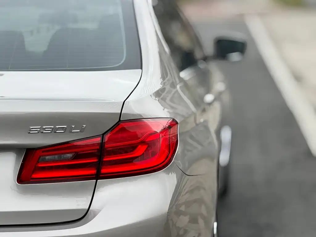 BMW 5 Series 2020 530Li Leading Luxury Package купить на сайте DeffCars