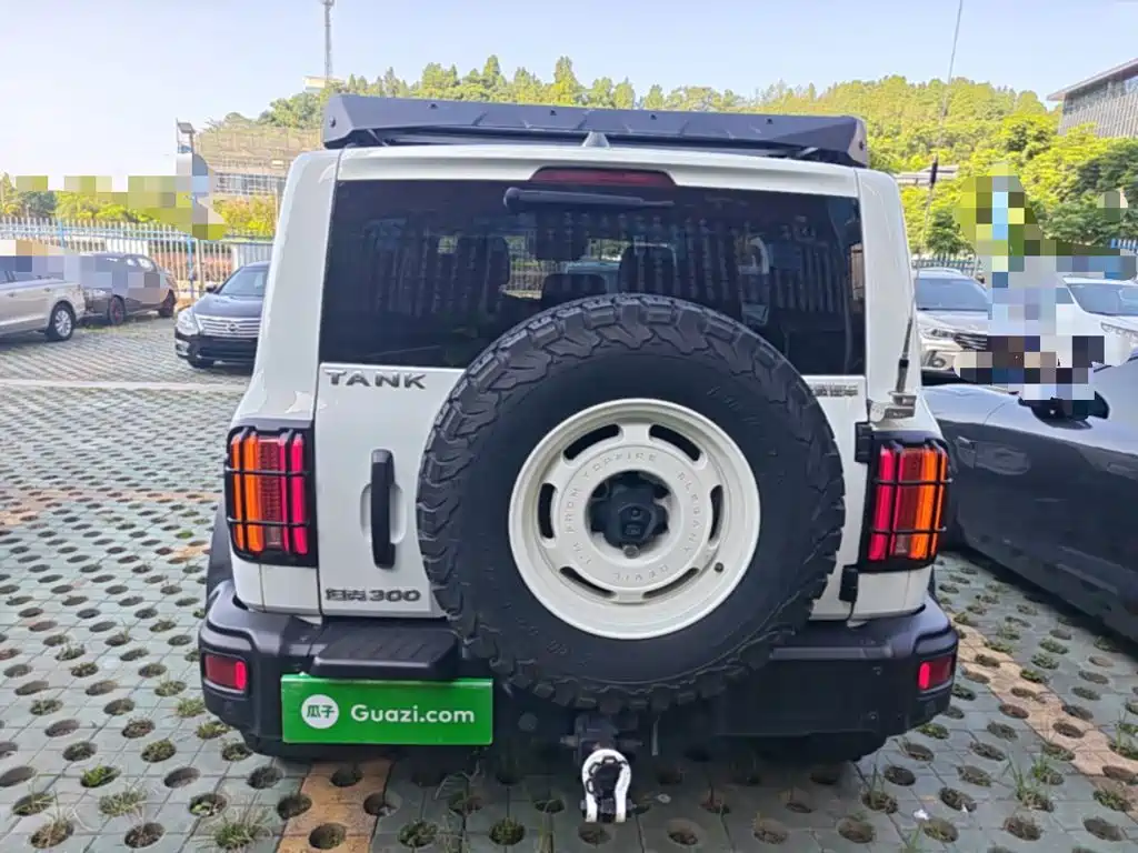 TANK 300 2023 2.0T Tieqi 02 купить на сайте DeffCars