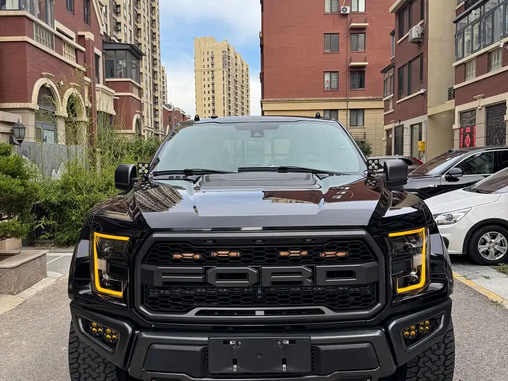 Ford F-150 Raptor 2018 3.5T Raptor Performance Enhanced Edition купить на сайте DeffCars