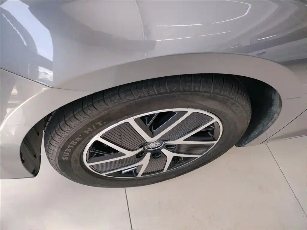 Qin L 2024 DM-i 80KM transcendent model купить на сайте DeffCars