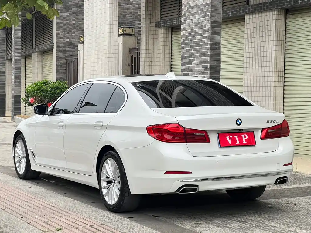 BMW 5 Series 2019 530Li Leading Luxury Package купить на сайте DeffCars