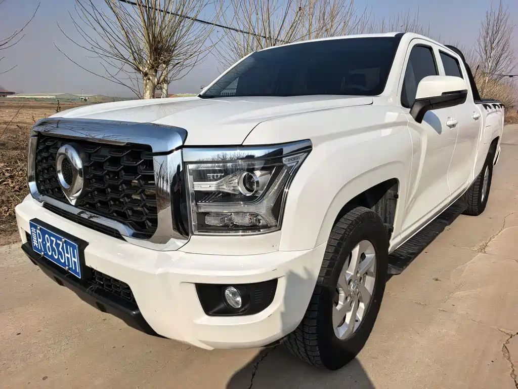 King Kong Cannon 2023 2.0T manual diesel four-wheel drive entrepreneurial long box GW4D20M купить на сайте DeffCars