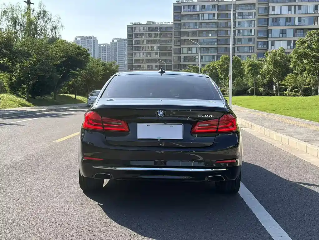 BMW 5 Series 2020 530Li Exclusive Luxury Package купить на сайте DeffCars