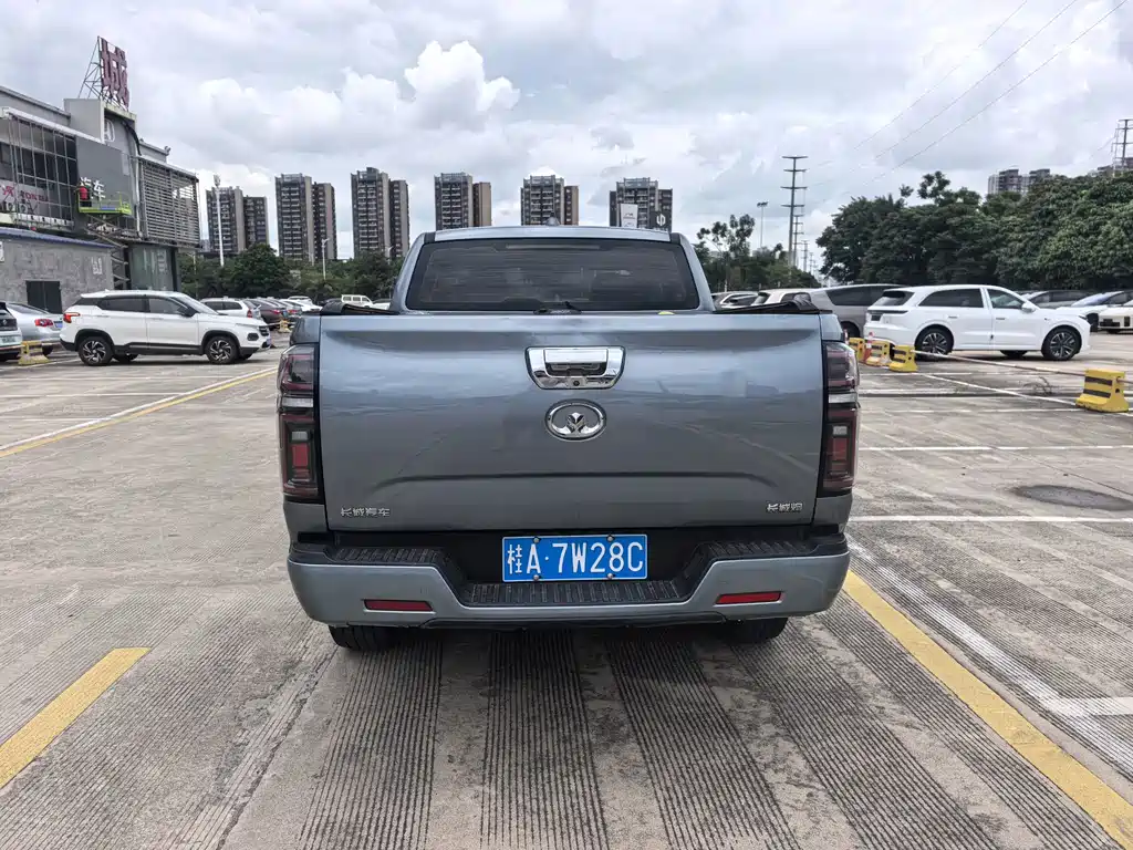 Cannon 2021 2.0T Passenger Global Version Automatic Diesel Two-wheel Drive Comfort Standard Box GW4D20M купить на сайте DeffCars