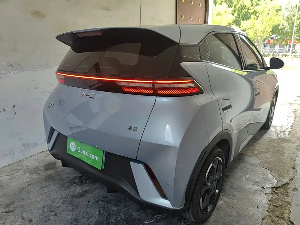 Seagull 2024 Honor Edition 305km Free Edition купить на сайте DeffCars