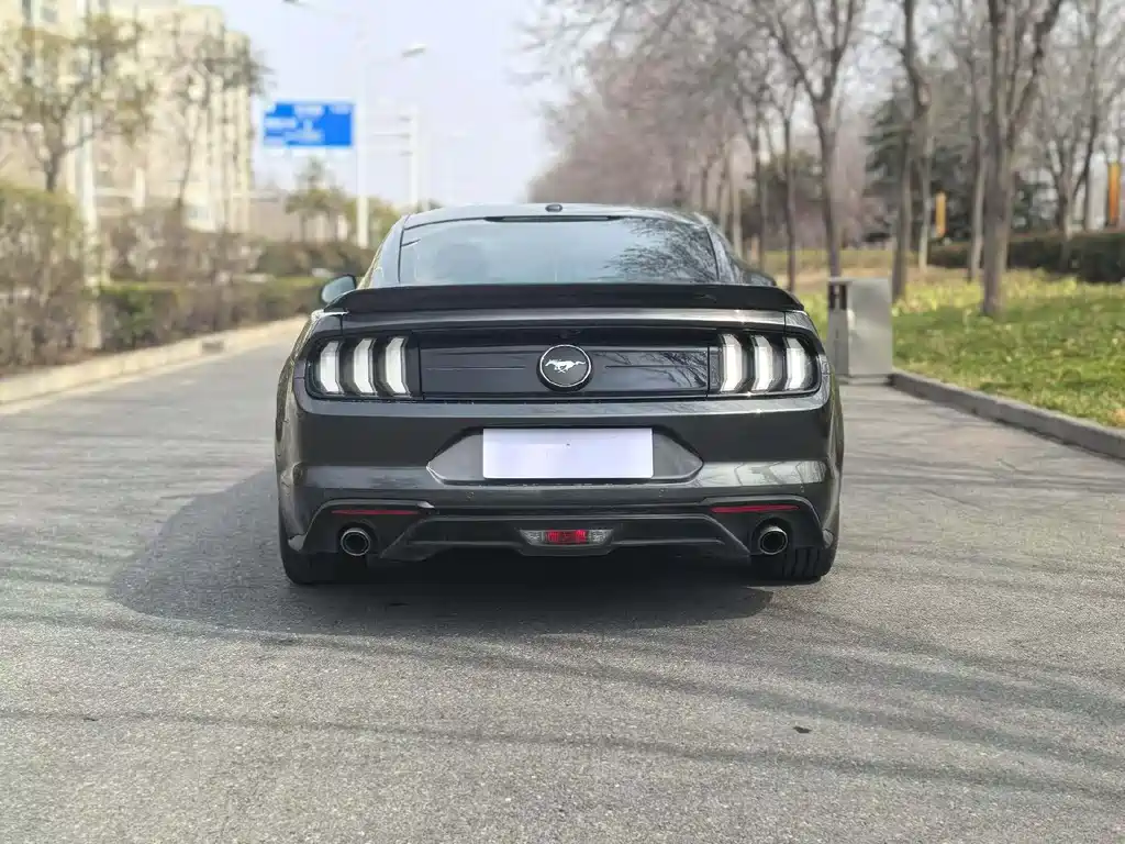 Mustang 2019 2.3L EcoBoost купить на сайте DeffCars