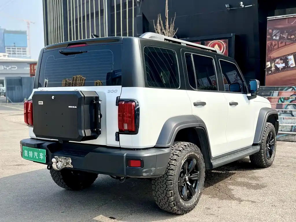Tank 300 2023 Off-Road Version 2.0T Conqueror купить на сайте DeffCars