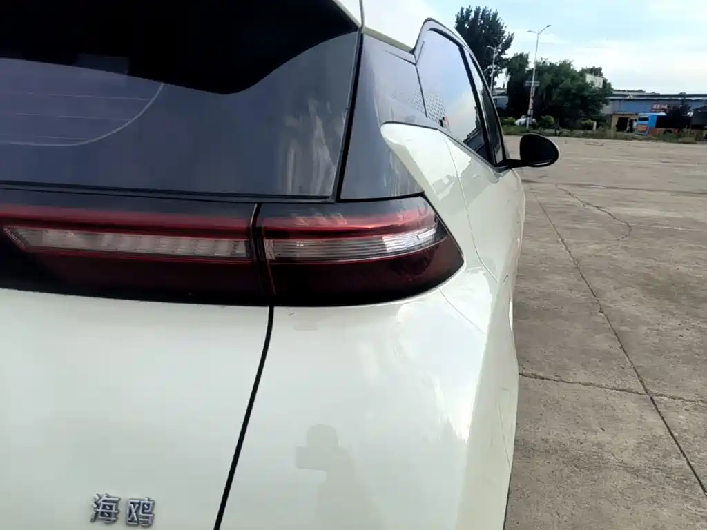 Seagull 2024 Honor Edition 305km Vitality купить на сайте DeffCars