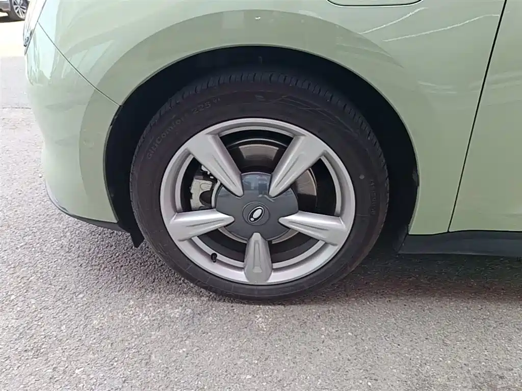 Euler Good Cat 2021 model 400km standard battery life Athena version ternary lithium купить на сайте DeffCars