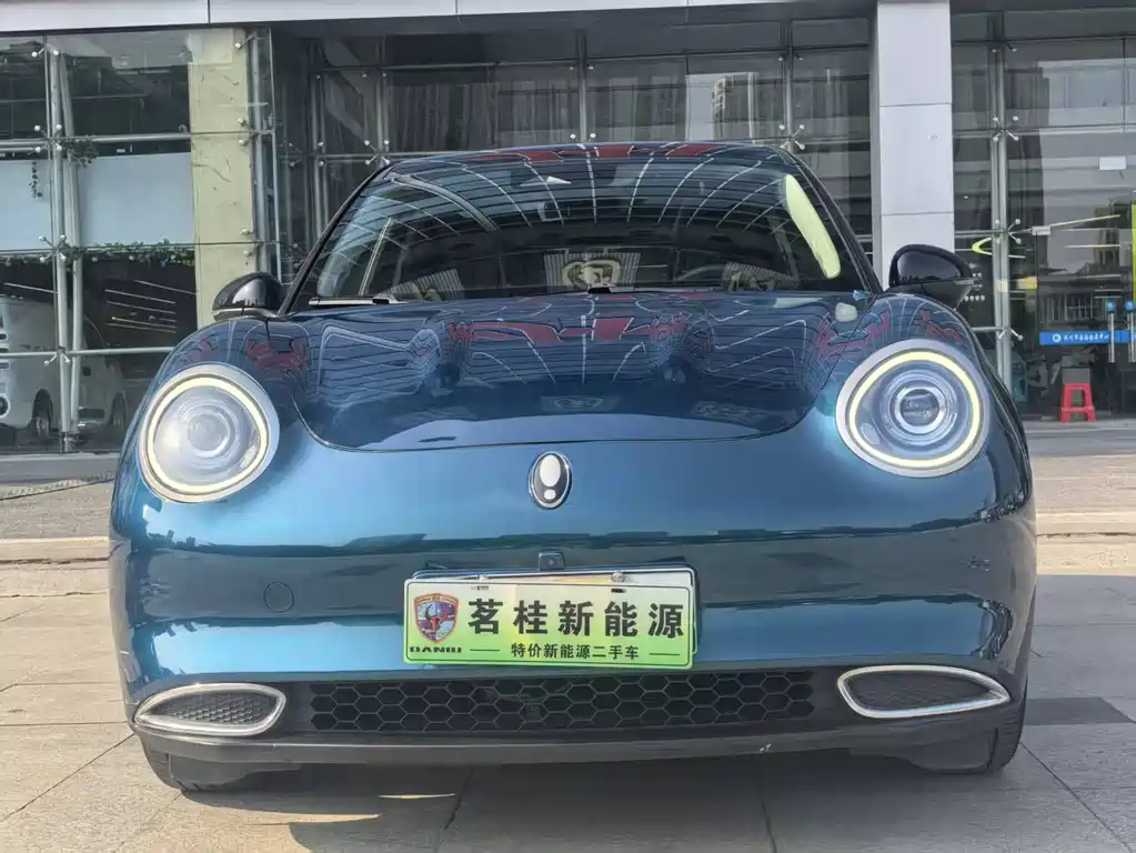 Euler Good Cat 2021 Model 400km Standard Range Venus Edition Lithium Iron Phosphate купить на сайте DeffCars