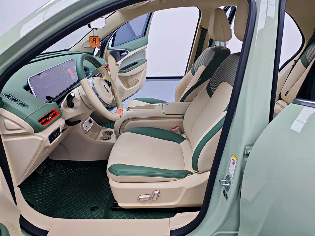 Euler Good Cat 2023 model 401km standard battery life luxury model lithium iron phosphate купить на сайте DeffCars