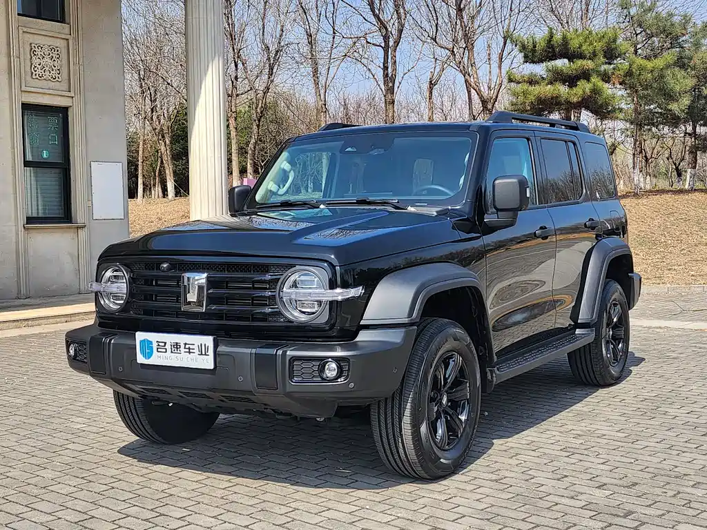 Tank 300 2025 2.0T Gasoline Conqueror купить на сайте DeffCars