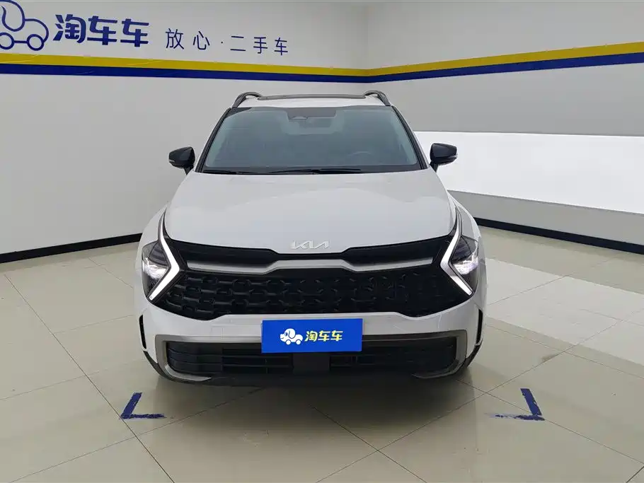 Lion Platinum Extension 2023 1.5T two-wheel drive premium version купить на сайте DeffCars