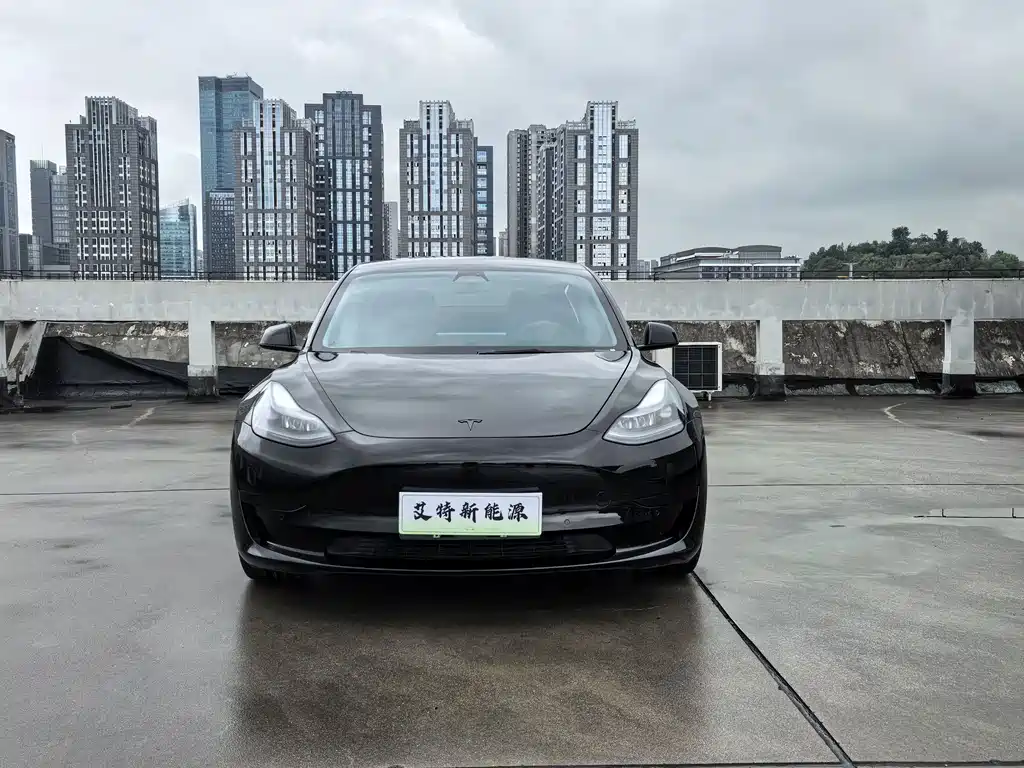 Model 3 2022 rear-wheel drive version купить на сайте DeffCars